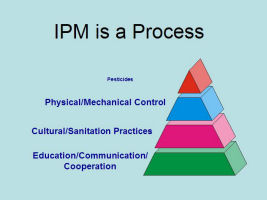 IPM Process