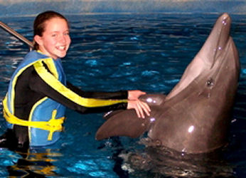 Annis Dolphin Pool