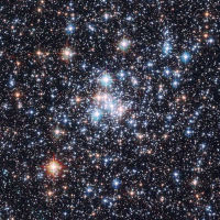 Star Cluster